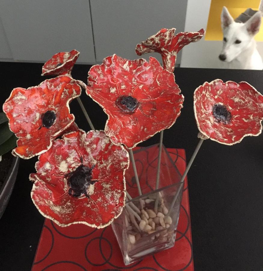 Coquelicot Ξενοδοχείο Αρμαντιέρ Εξωτερικό φωτογραφία